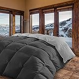 Energy Colors Textil - Hogar Edredón nórdico de 350 g Reversible (Bicolor). Siber (Gris, Cama 135/150-240_x_260_cm)