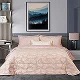 NORA HOME Boutí Colcha edredon Acolchado Ficus. Relleno 150 gr/m². Fundas cojin Decorativas a Juego Incluidas (Rosa, 235x270 cm (Cama 135))