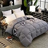 TIUTIU Edredón Nórdico - Edredón Grueso De Algodón con Plumón De Invierno, Edredón Cálido De Algodón Agradable para La Piel Edredón Grueso con Estampado De Regalo (4,150x200cm - 3kg)