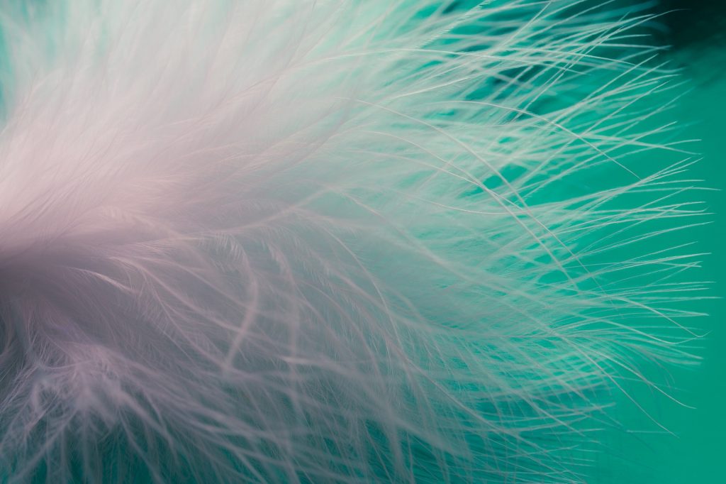 edredones nordicos plumon plumas